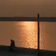 dhdgv