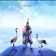 513965293@qq.com