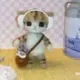 痛经，别烦