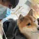 chenzhuo