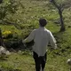 小鹿君
