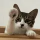 7881