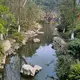 成白虎