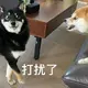 kangzi
