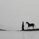 wulifeng