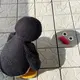 咋了宝