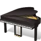 CamyIori