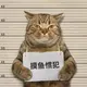 ༺ۣ灼炑ۣ༻