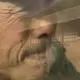 ggjr