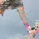 Nanyot