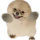 cskxian