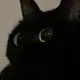 913143745