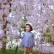 Lilfay