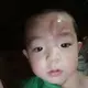 osu739715