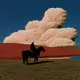 1050151141