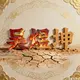 wuhonyang
