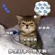 azzz