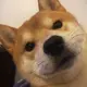 1217018098