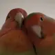 10001