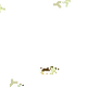 l64651447