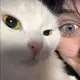 你眼里好似有星星