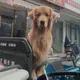 水儿