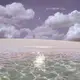 1303733401
