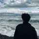 41366630