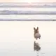 拥抱谁的拥抱