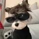 小八奇葩