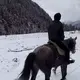 adadada11的头像-WordPress主题模板-zibll子比主题