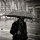 一条小白的头像-zibll子比社区