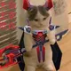 jns