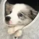 优世界