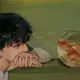 ipconfig的头像-zibll子比社区