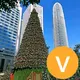 小白