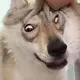 fftftt