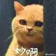 破晓袭风