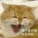 lu7875的头像-zibll子比社区