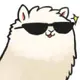 alpacabro