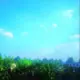 评论头像