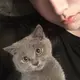 。。