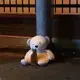 vgCW2JyK