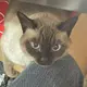 死或生