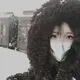 z28290842的头像-WordPress主题模板-zibll子比主题