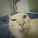 手指甲
