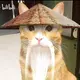 摩登兄弟该不会太大