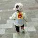 一网的头像-WordPress主题模板-zibll子比主题