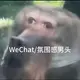 潘