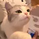 bz8cPihF